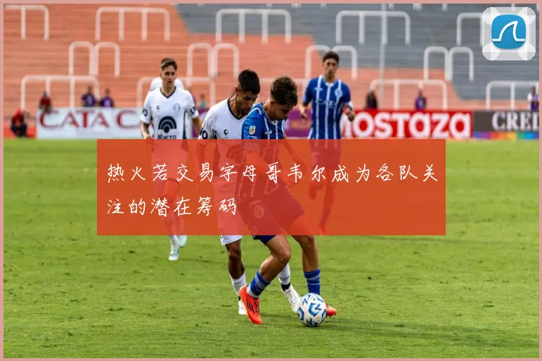 热火若交易字母哥韦尔成为各队关注的潜在筹码